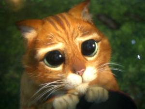 shrek cat